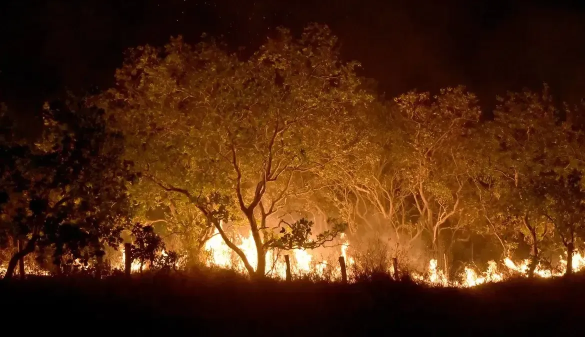 Foco de incêndio em Roraima. Foto: Jader Souza/AL Roraima